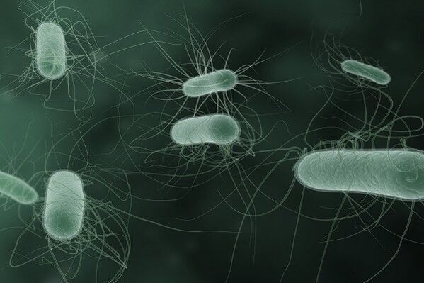 micro-organismen die pathologische ontlading veroorzaken wanneer ze worden opgewonden